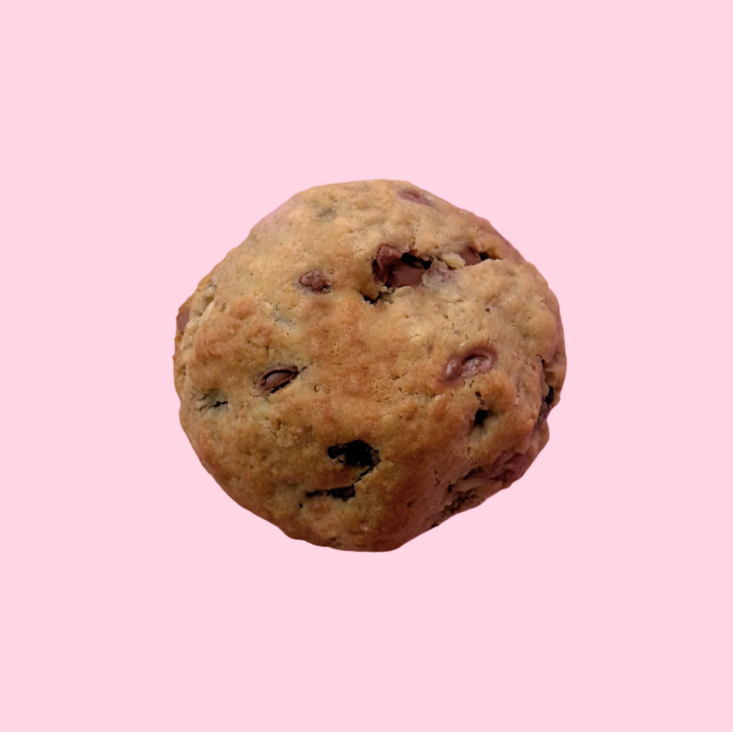 Oatmeal Double Chip
