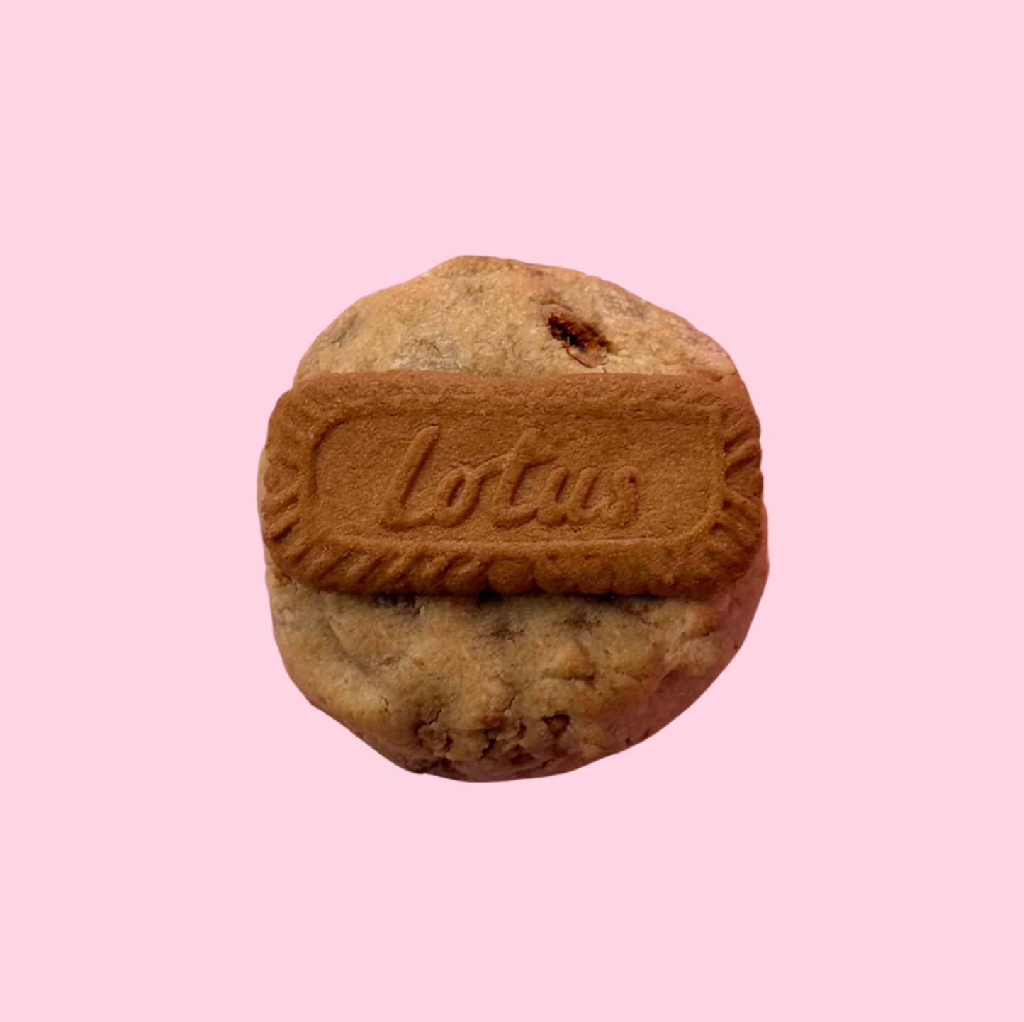 Biscoff Milk Choc Chip